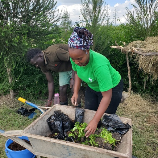 Greening the Future initiative